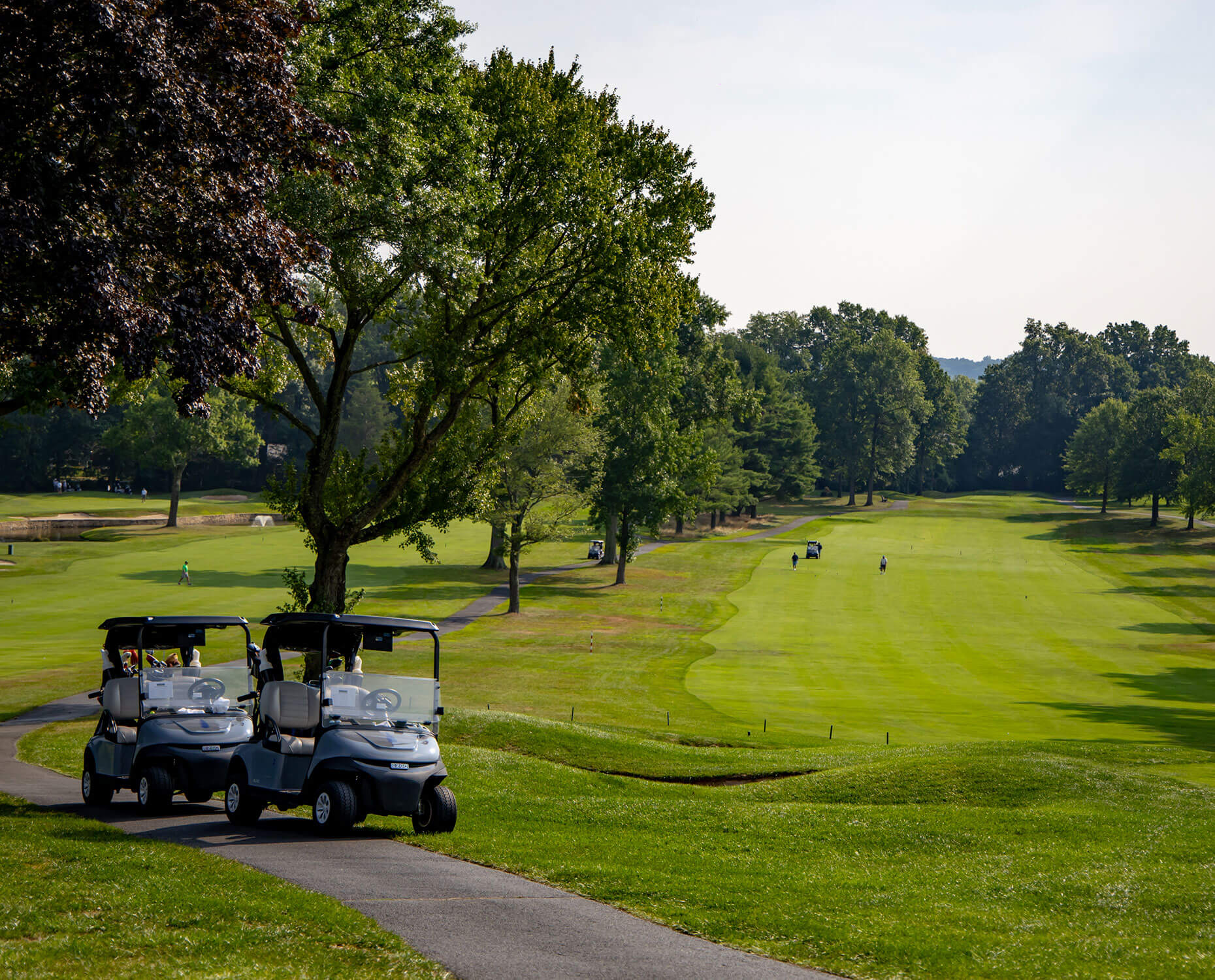 golf carts and course